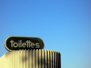 Toilettes sèches : toilettes écologiques et compost naturel