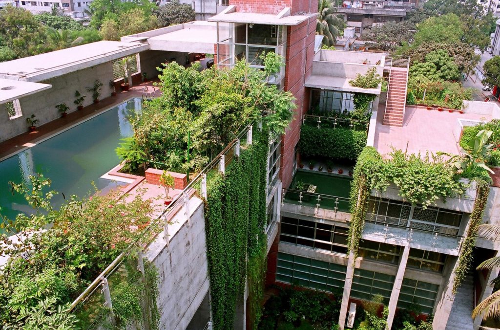 jardin-toit-terrasse