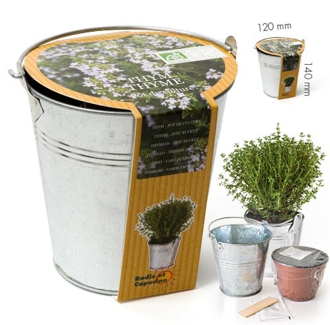 Faire Pousser Herbes Aromatiques - Aromates En Pot - Cultiver Plante