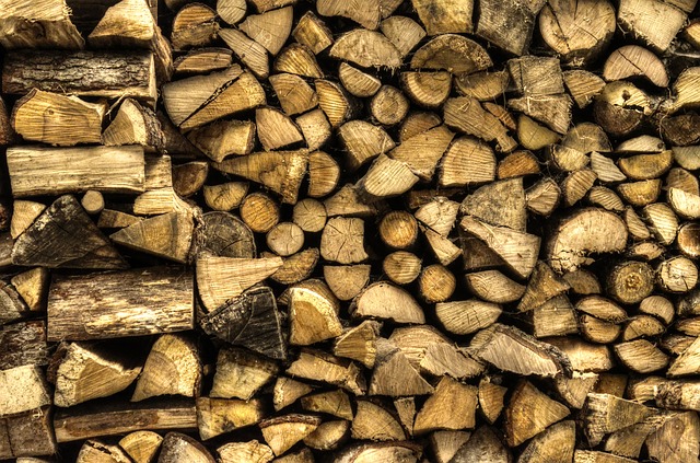 Le bois, une énergie durable et respectueuse de l’environnement