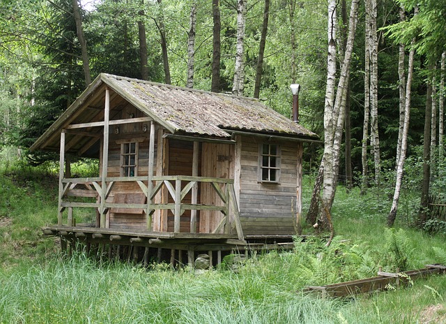 Quand les touristes de plus en plus soucieux de l’environnement optent pour des vacances écologiques et insolites