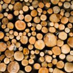 Le bois compressé est-il plus écologique ?