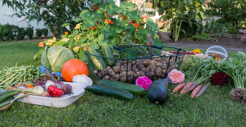 Aménager une cuisine potagère