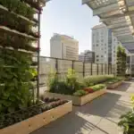Le jardinage vertical : une solution écologique pour les petits espaces